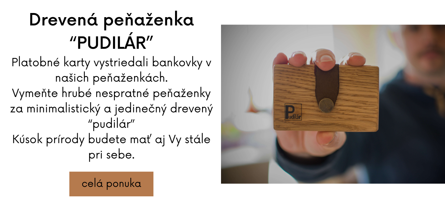 titulka - pudilár2
